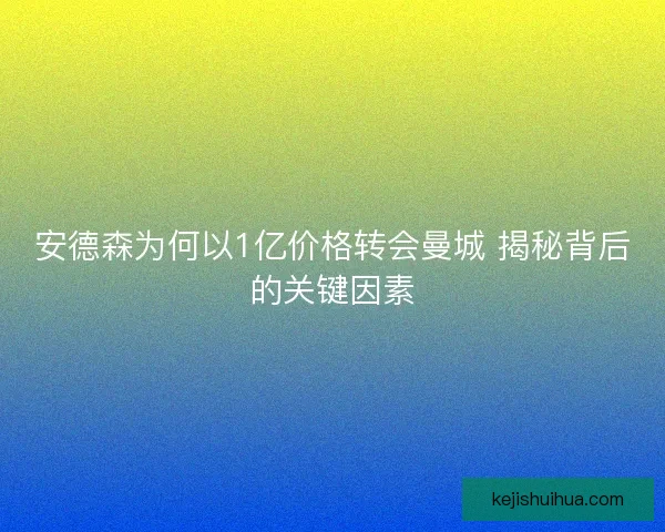 安德森为何以1亿价格转会曼城 揭秘背后的关键因素